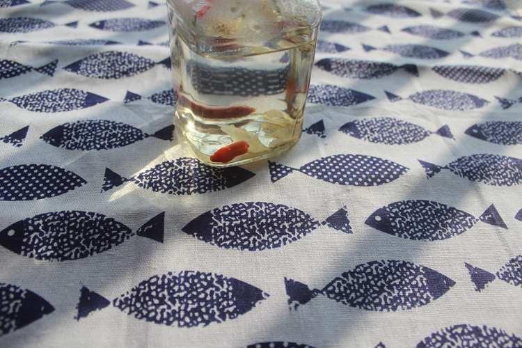 Plum Island Imports™ Furoshiki Wrapping Cloth - Plum Island Imports