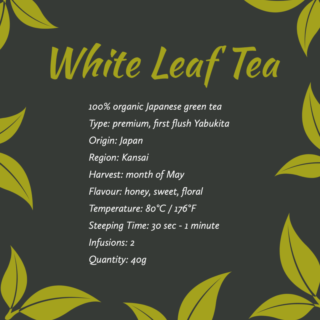Plum Island Imports™ White Leaf Tea - Plum Island Imports